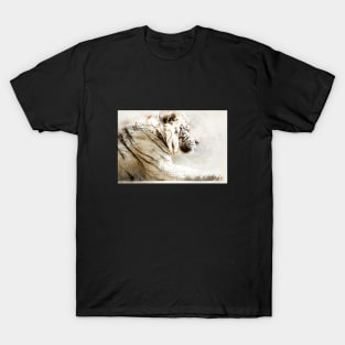 White Tiger Wild Animal Safari Africa Jungle Feline T-Shirt